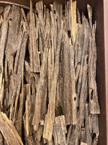 هندي زورا مينيبور