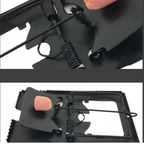 مصيدة قوارض