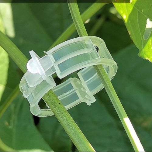 تعديل وتثبيت اغصان النبات 100 قطعة