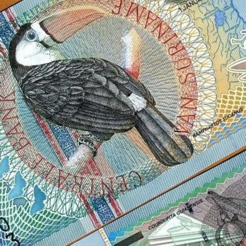 سورينام فئة 25 جولدن أنسر