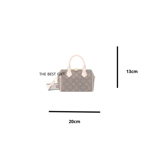 speedy lv bag 20