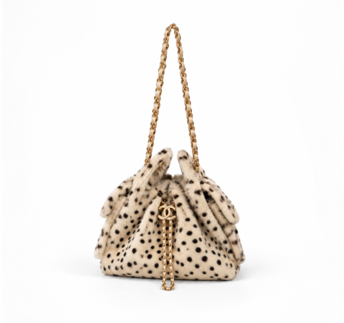 chanel25 bag
