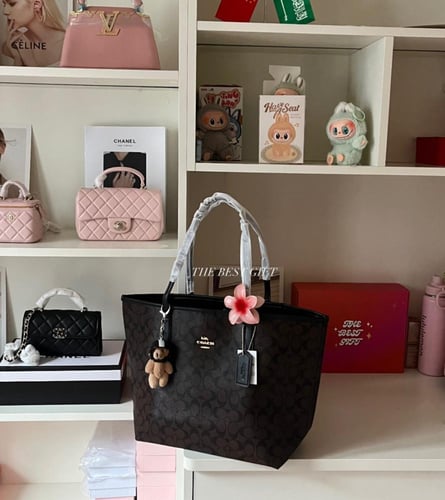 coach totebag - large