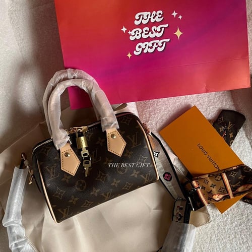 speedy lv bag 20
