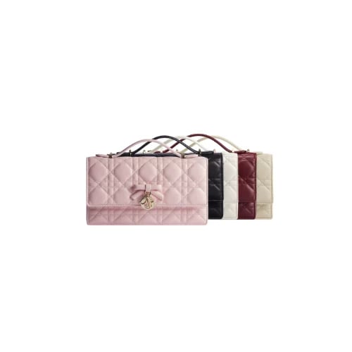 my dior bag