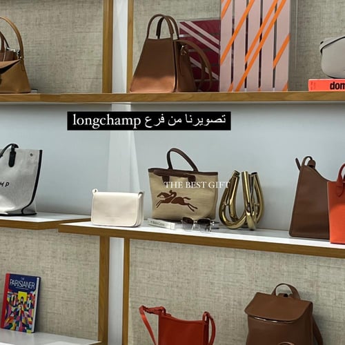 longchamp bag