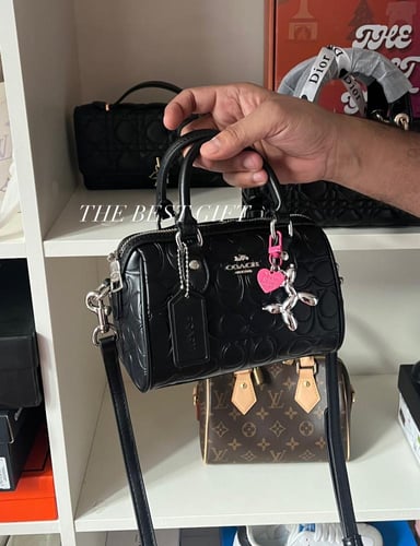 coach rowan satchel mini bag