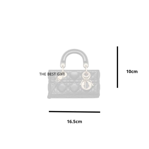 Lady dior Micro bag