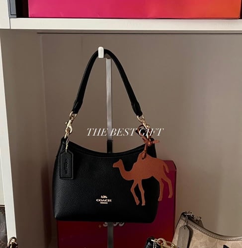 Coach Laurel Shoulder Bag- small