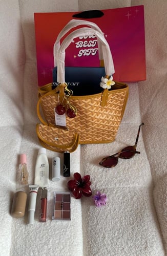 totebag goyard _ small