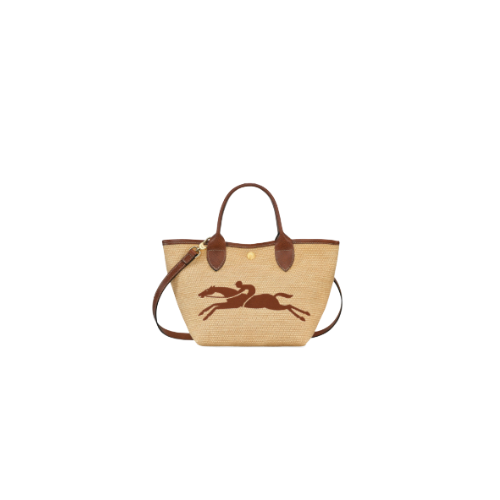 longchamp bag