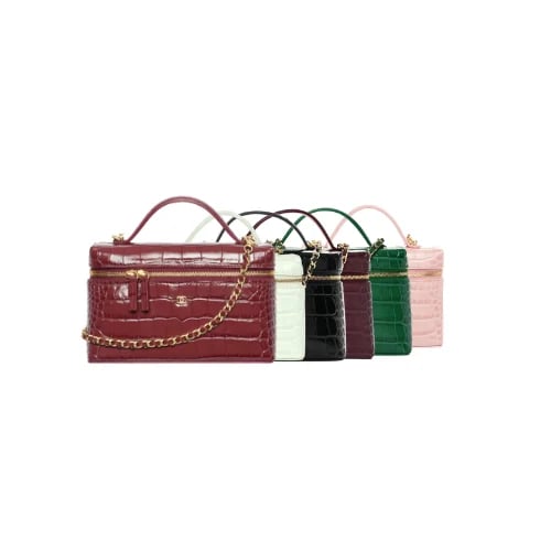 chanel Vanity with Chain bag