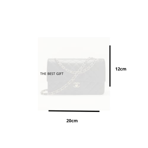 chanel bag 20 no handle