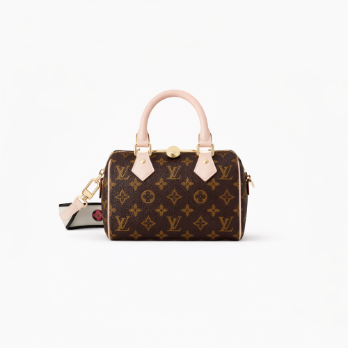 speedy lv bag 20
