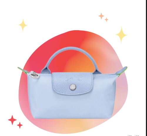 longchamp mini _ With strap