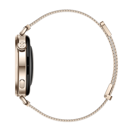 ساعة جي تي 6، 41 مم، ميلانيز