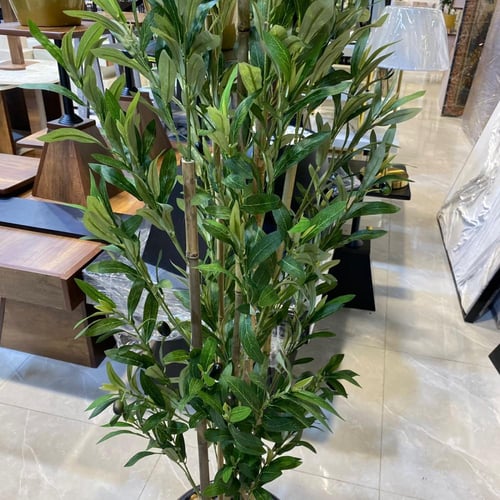 شجرة الزيتون صناعي مركن اسود - 160 سم