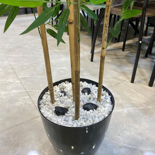 نبات صناعي مع اصيص اسود - 170 سم