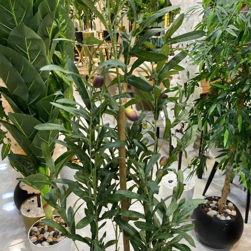 شجرة الزيتون صناعي مع مركن اسود - 160 سم