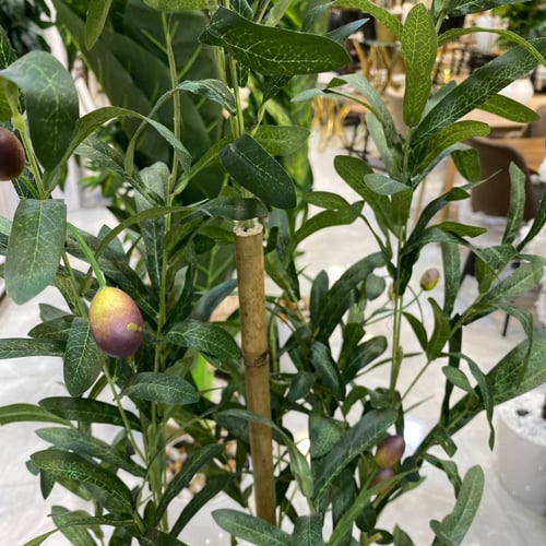 شجرة الزيتون صناعي مع مركن اسود - 160 سم