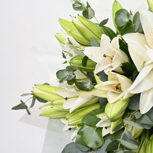 الحب الجديد