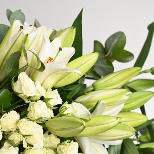 فازة ورد - سكاي