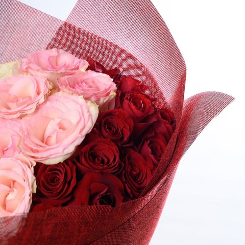 باقة تناغم الألوان - أومبري