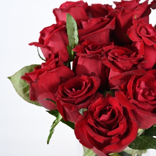 فازة ورد جوري احمر (كومو)