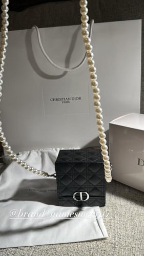 Bag dior