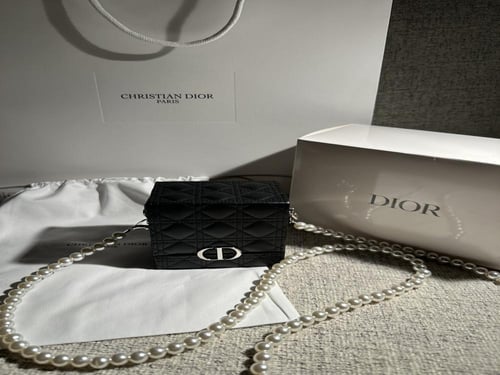 Bag dior