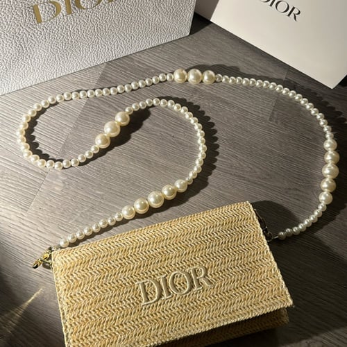 Bag dior
