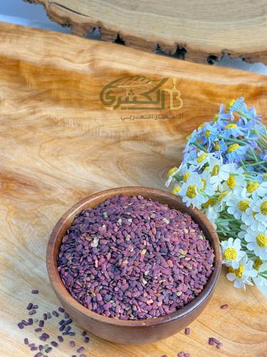 حلبة الخيل