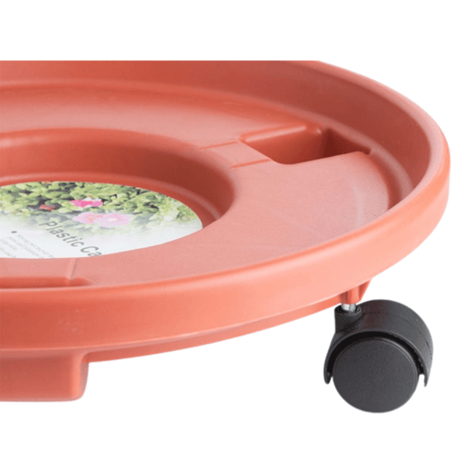 صحن اصيص متحرك