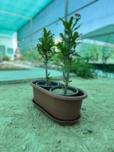 مركن بلاستيك مستطيل مع صحن