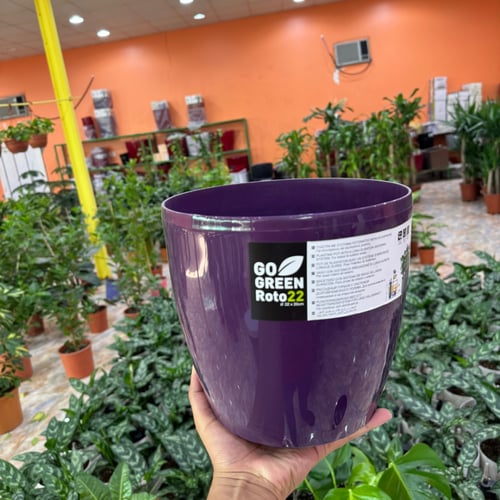 مركن بنفسجي مع ري اوتماتيكي (ماركة go green)