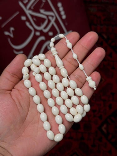 عظم جمل صنوبري