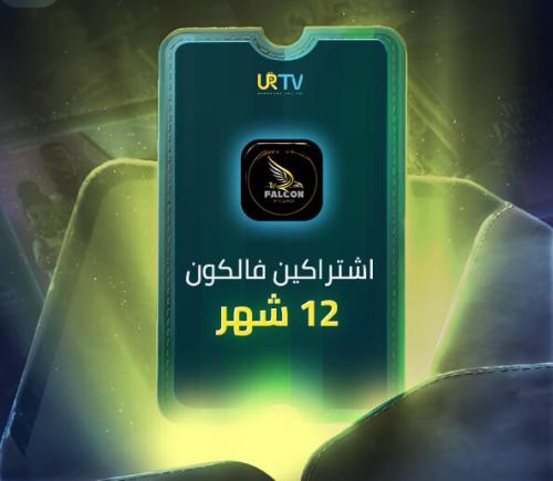 اشتراكين فالكون منفصلين 12 شهر