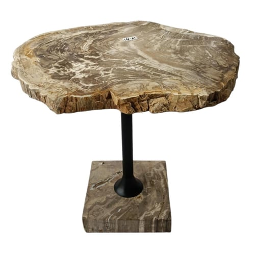 طاولة شجر متحجر