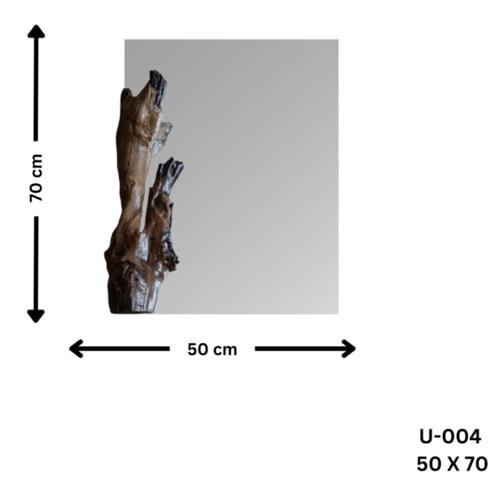 مرايا خشبية بجذع شجرة
