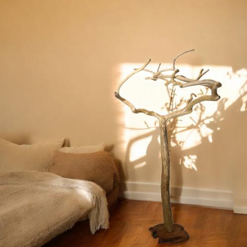 شجرة القهوة