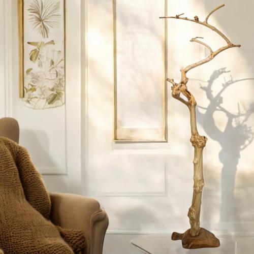 شجرة القهوة