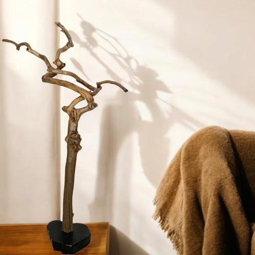 شجرة القهوة