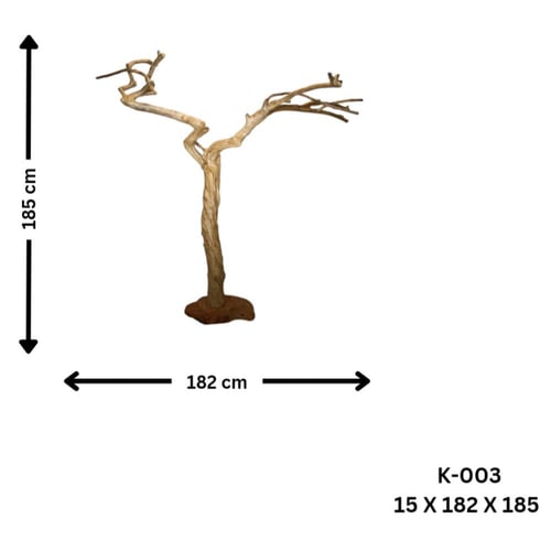 شجرة القهوة