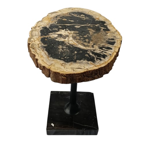 طاولة شجر متحجر