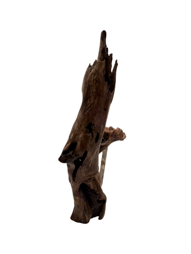 منحوتة الأمل