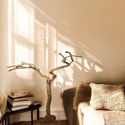 شجرة القهوة