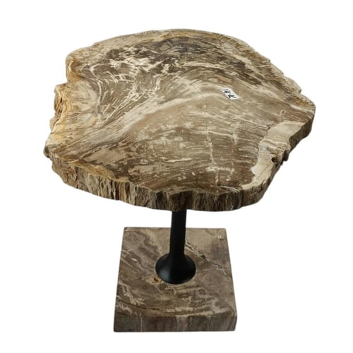 طاولة شجر متحجر