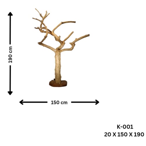 شجرة القهوة
