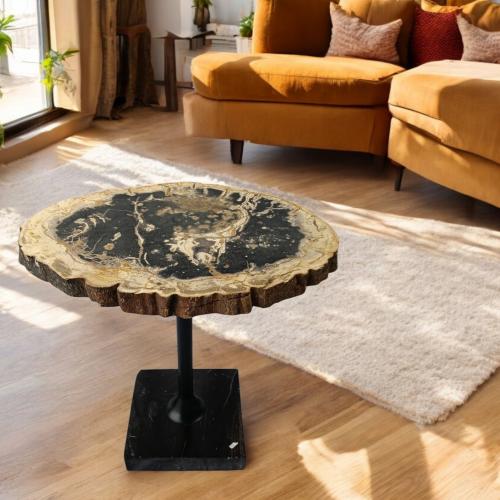 طاولة شجر متحجر