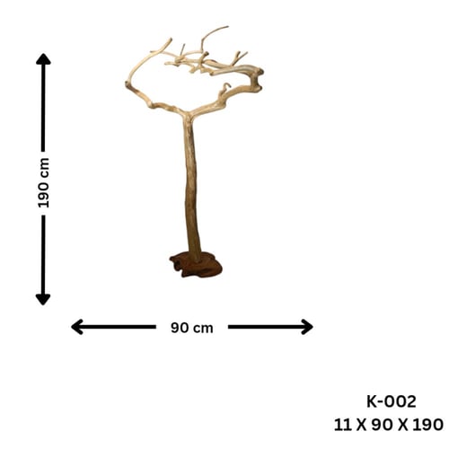 شجرة القهوة